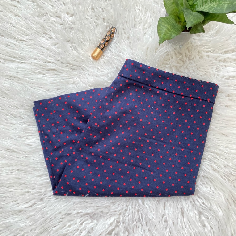 Jcrew The Pencil Skirt Size 6P